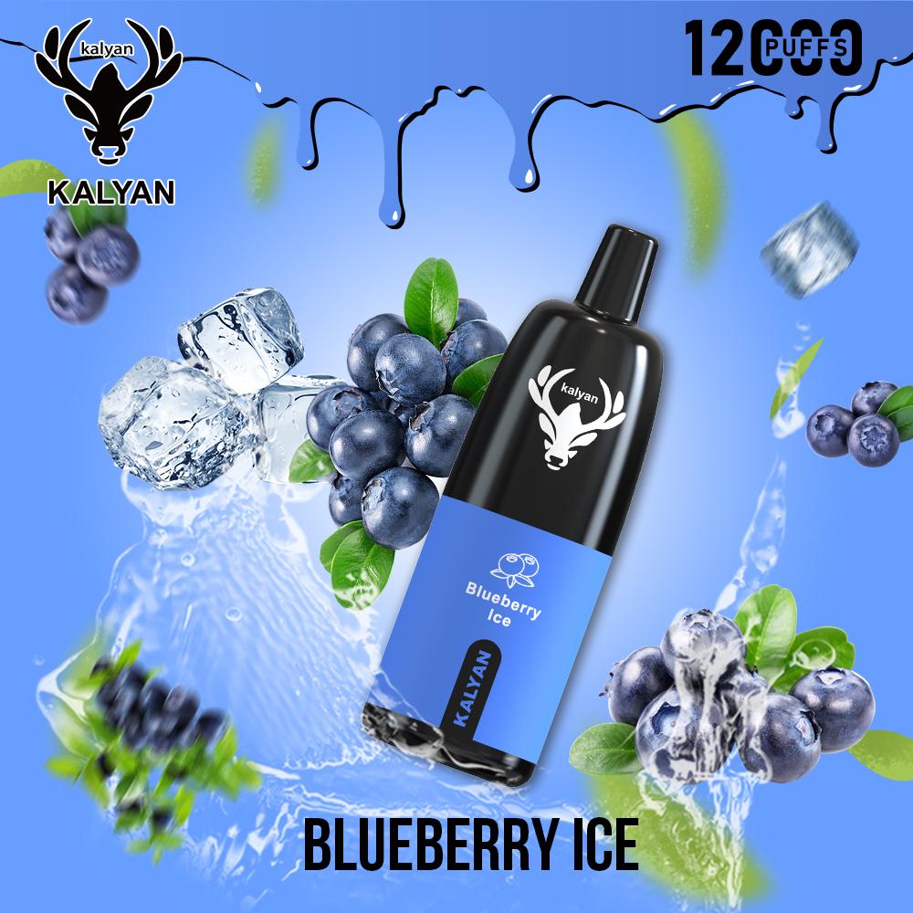 Blueberry Ice Kalyan Vape